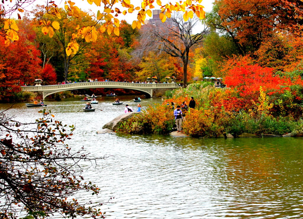 Central Park : Pourquoi le Visiter d'une Manière Historique