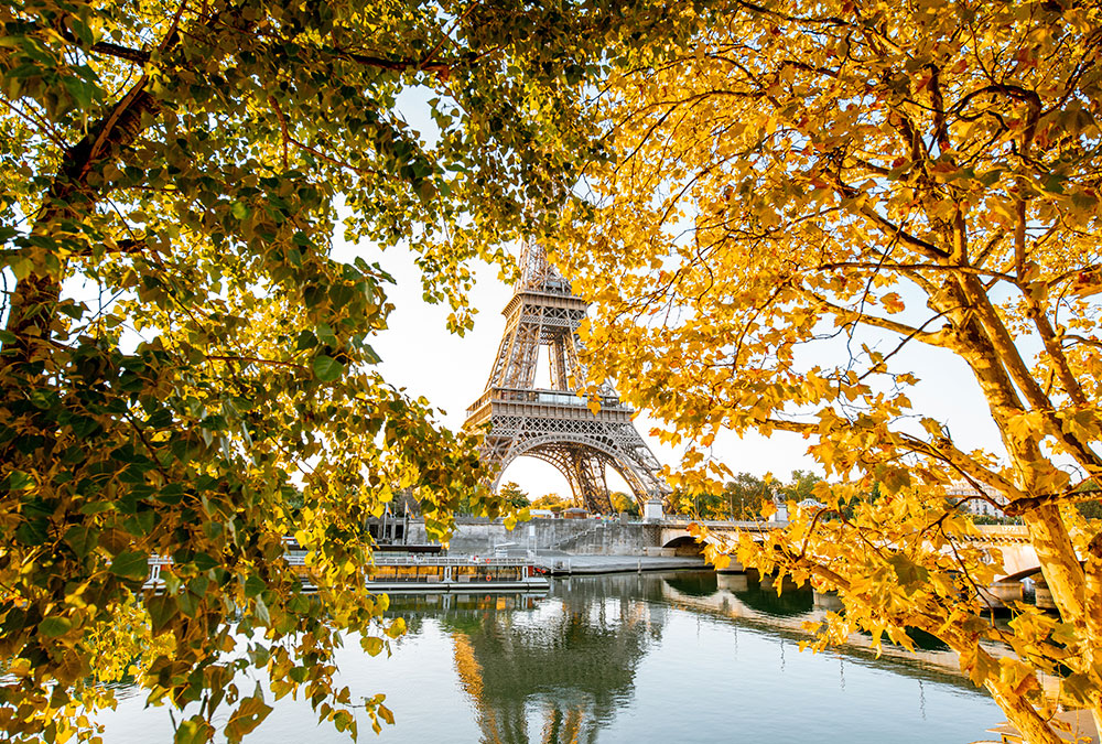 eiffel-tower-in-paris-2023-11-27-05-30-33-utc